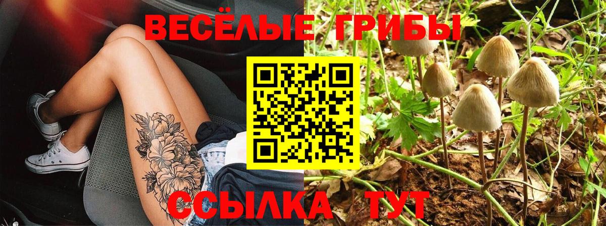 Псилоцибиновые грибы Psilocybine cubensis Павловский Посад