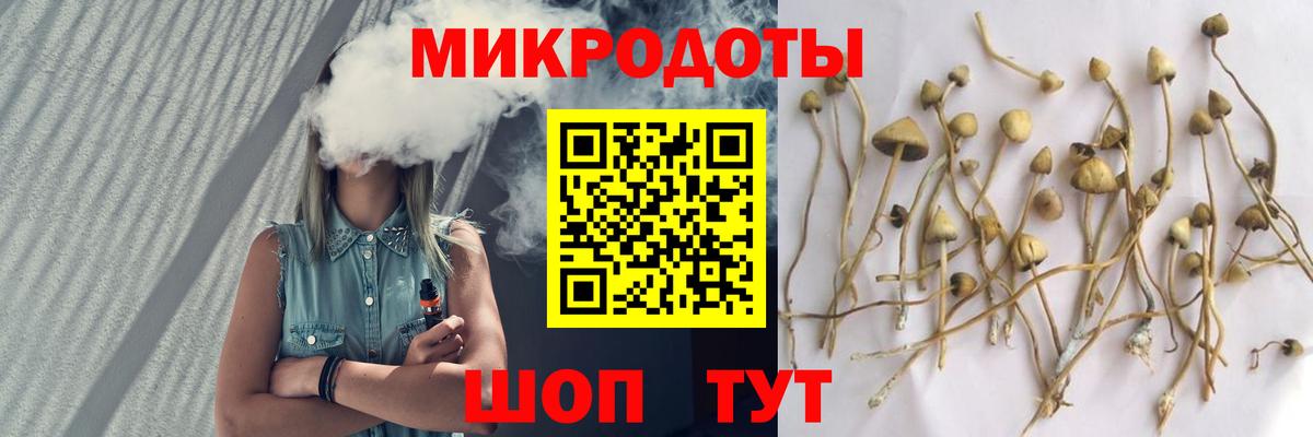 хочу   Псилоцибиновые грибы Psilocybine cubensis  Вход с VPN  Павловский Посад  Псилоцибиновые грибы мухоморы 